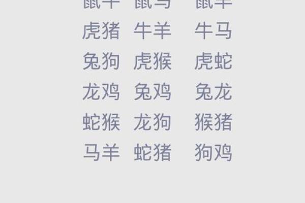 “物归原主”指什么生肖，物归原主是什么生肖答案解释释义落实