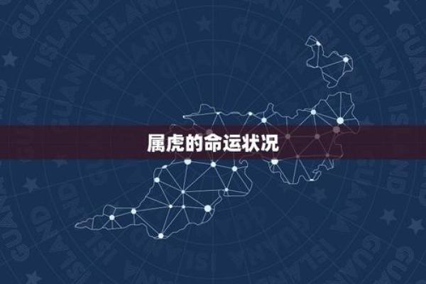 虎年生人是什么命 几月出生的属虎最好