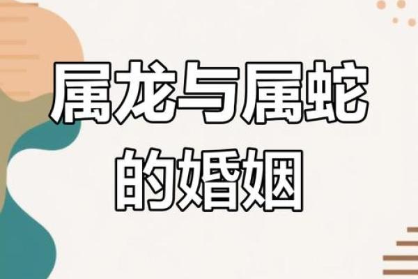 属猪男和属蛇女的相配吗_属猪男和属蛇女相配吗揭秘最佳婚配指南