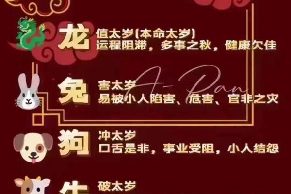 2000年属龙的今年多大 2000年属龙者2023年10月年龄解析周岁与虚岁计算全指南