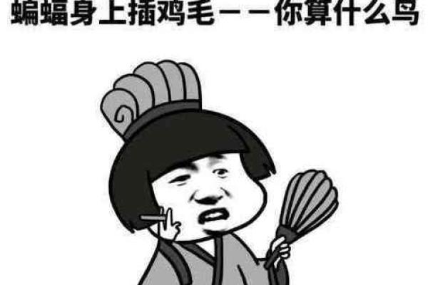“蝙蝠身上擦鸡毛”打一生肖是什么，蝙蝠身上插鸡毛歇后语答案解释释义落实
