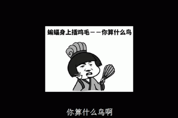 “蝙蝠身上擦鸡毛”打一生肖是什么，蝙蝠身上插鸡毛歇后语答案解释释义落实