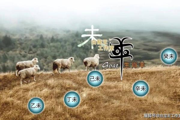 属羊2025年全年运势运程_属羊的2025年运势运程