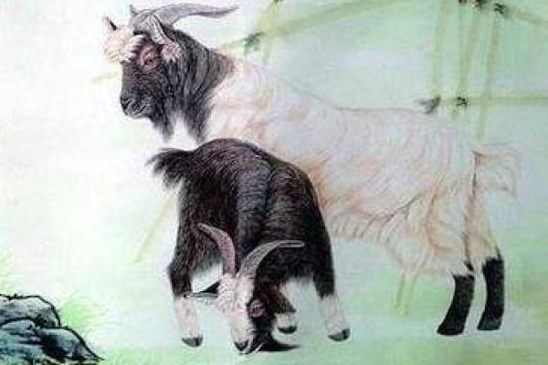 属羊的男和什么属相最配_属羊男与什么生肖最配