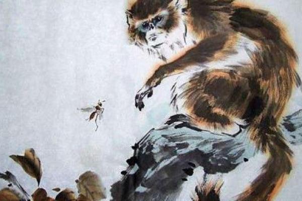 白头少年是什么生肖