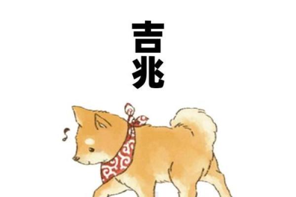 2025年谁最旺属狗人_2025年属狗人运势大爆发谁将助力最旺