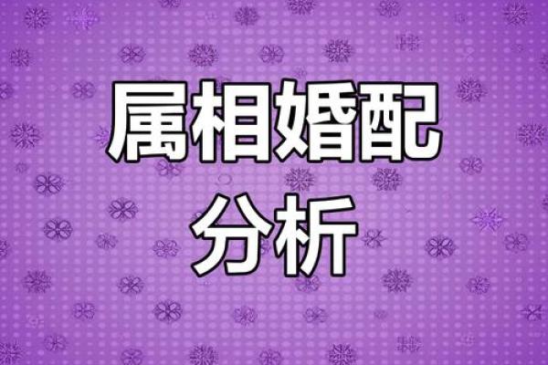 男属兔女属龙 男属兔女属龙夏末秋初婚恋运势全解析 男属兔女属龙 男属兔女属龙夏末秋初婚恋运势全解析