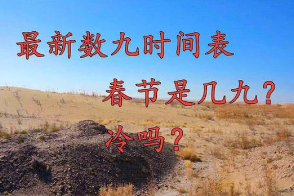 2021年数九时间表