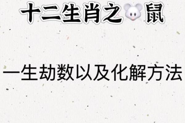 1984鼠年运势2025运势详解