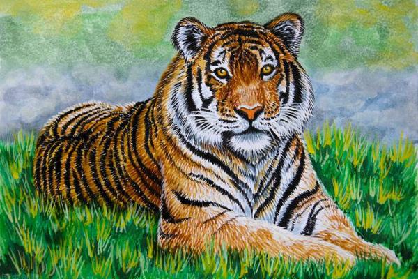 高人一等什么生肖