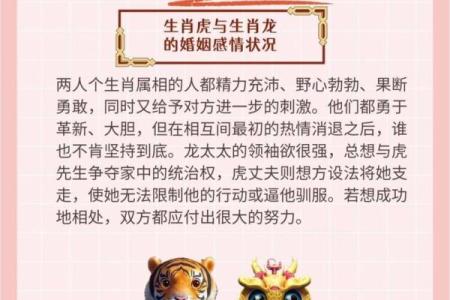 属龙跟属龙的人在一起合适吗_龙男娶了龙女会幸福吗