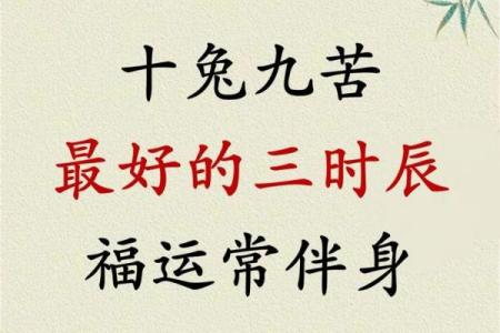 属兔的2020什么时候开门