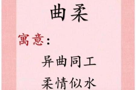 柔情似水打一生肖(柔情似水打一生肖的寓意)