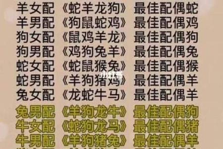 属猪男会爱上龙女吗 属猪男与龙女爱情缘分解析与配对指南