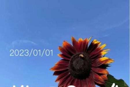 2023年的第一天