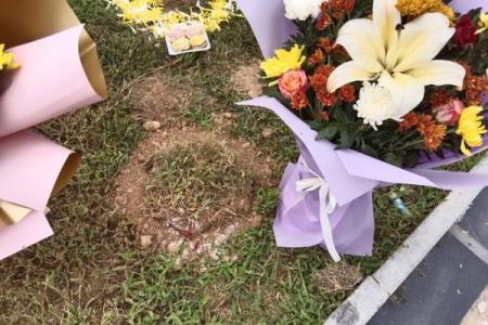 坟上动土有什么讲究(坟上动土了,怎么化解)