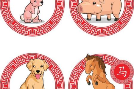 凹凸动物打一最佳生肖(凹凸是啥)