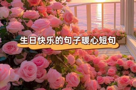 生日最暖心八个字