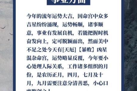 2025年属猪的人运势_2025年属猪的人运势如何