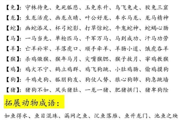 名列前茅的动物是什么生肖