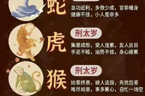 “世道人情”代表什么生肖，世道人情是什么生肖答案解释释义落实