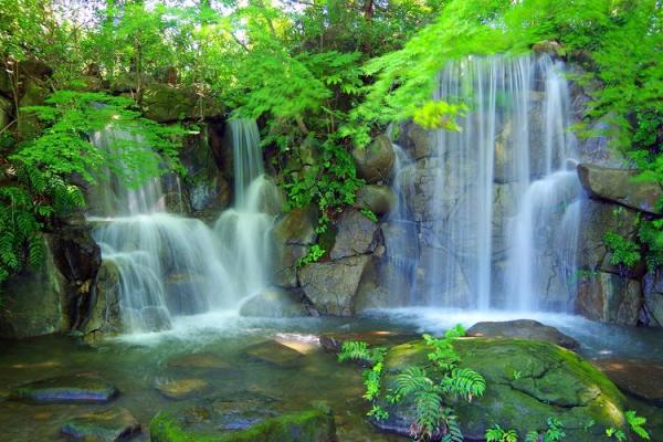 “大好山河”打一准确动物生肖，大好山河是什么生肖答案解释释义落实