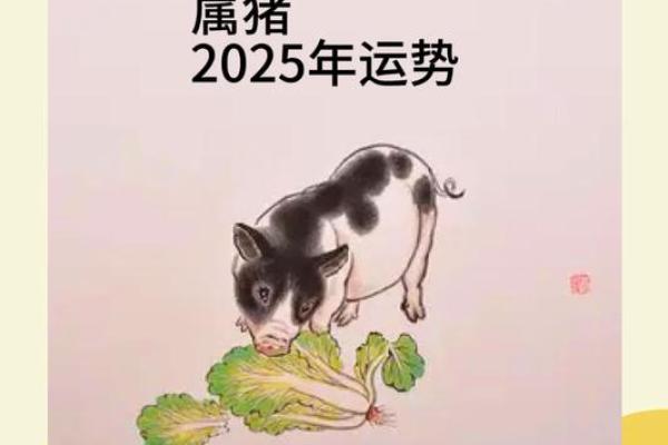 2025年属猪三合_2025年属猪三合运势解析事业财运双丰收