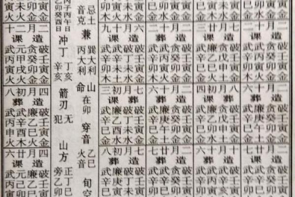 2025年通书电子版(2022年通书电子版)