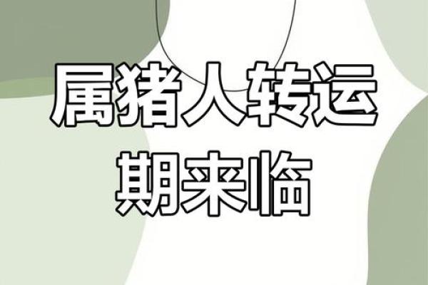 属猪的2025年的高考会怎么样 2025年属猪高考运势解析成绩与运势如何