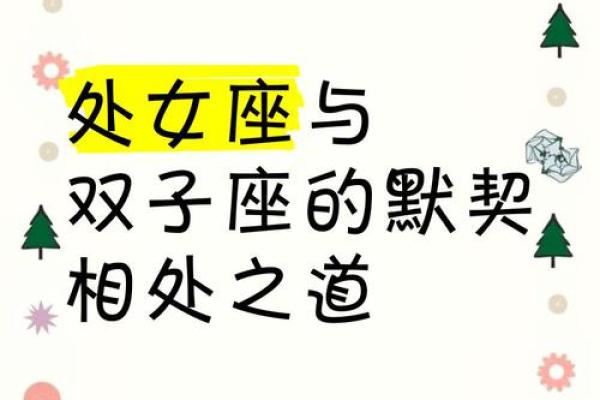 双子座和处女座的关系怎么样(双子座和处女座的关系好不好)