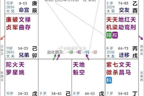 2025年4月22日子时女命紫微斗数全解盘