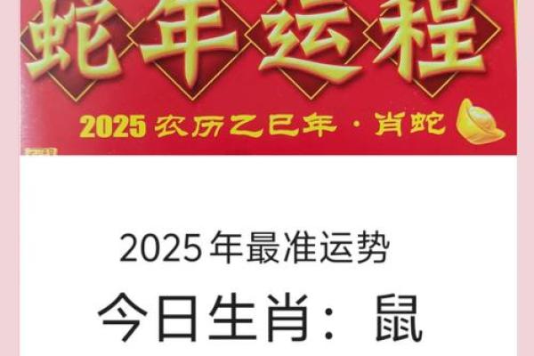 2025年属鼠的运势和财运怎么样