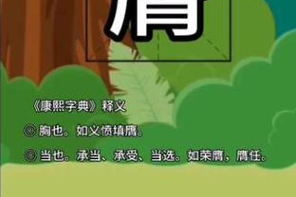 后宫三千是什么生肖