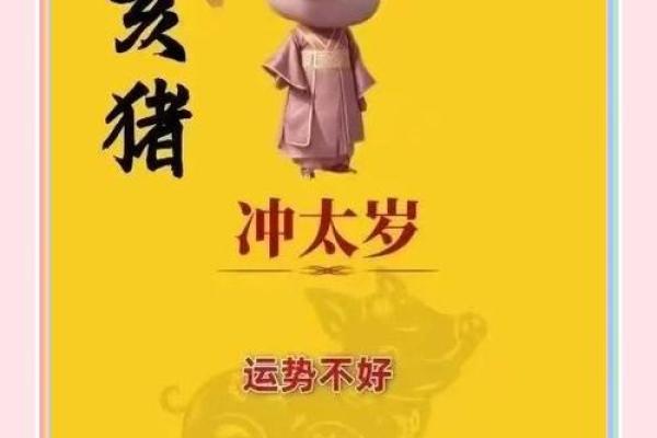 1996年2月13日属猪还是鼠 1996年2月13日出生属猪还是鼠生肖解析