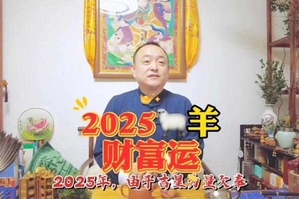 属羊人2025年财运_属羊人2025年财运大揭秘财富运势如何提升 属羊人2025年财运_属羊人2025年财运大揭秘财富运势如何提升