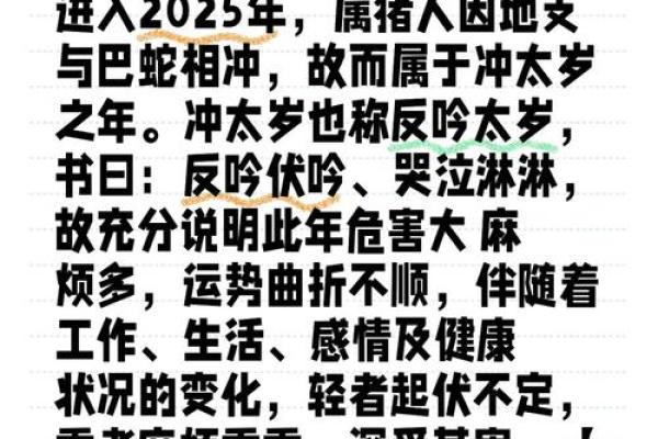 属猪的人2025年运势_2025年属猪人运势详解财运事业爱情全面解析 属猪的人2025年运势_2025年属猪人运势详解财运事业爱情全面解析