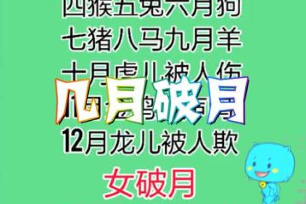 “二三五八四面围”指什么生肖，二三五八四面围打一正确生肖答案解释释义落实