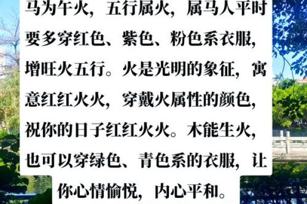 1978年11月26日属马人命理解析五行运势与性格揭秘