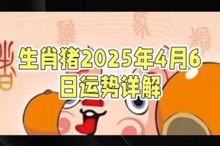 属猪男2025运势及运程详解_2025年属猪男1995全年运势完整版