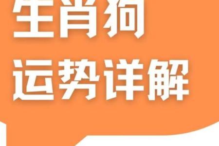 一九八二年属狗2025年运势如何_1982年属狗2025年运势详解事业财运健康全解析