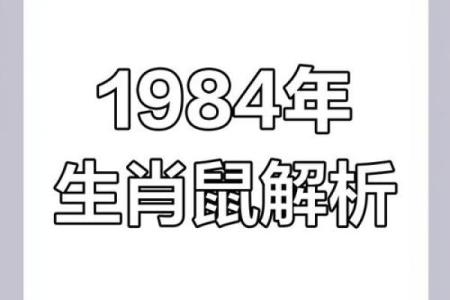 1984年属鼠人今日运势