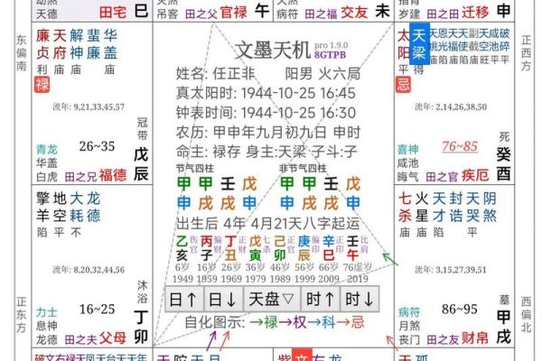 2025年4月8日巳时男命紫微斗数全解盘