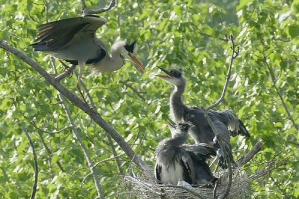 打春后能动土吗