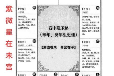 2025年4月25日寅时女命紫微斗数全解盘