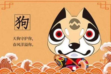 1982年属狗女2024年运势详解全年运程预测