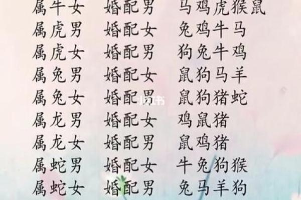 属兔的最佳配对_属兔最佳配偶是属什么