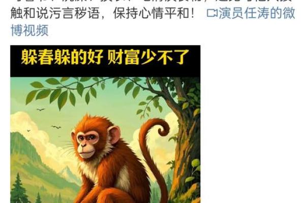 “妙手回春”打一生肖是什么，妙手回春是什么生肖答案解释释义落实