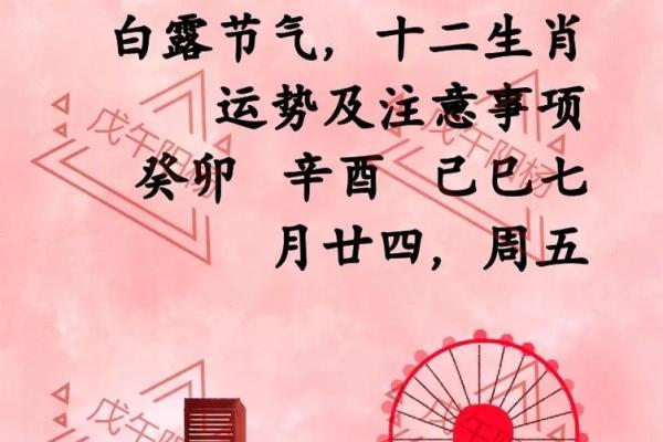 “南来北往”打一准确生肖，七来七往打一生肖答案解释释义落实