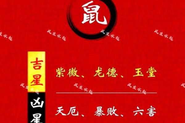 2025年属鼠每月运势