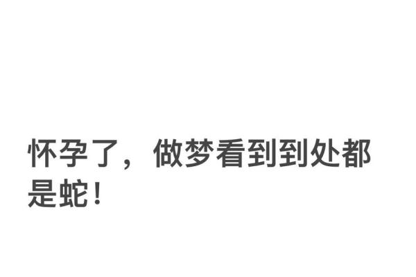 梦到很多小蛇是什么征兆 女性